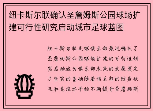 纽卡斯尔联确认圣詹姆斯公园球场扩建可行性研究启动城市足球蓝图